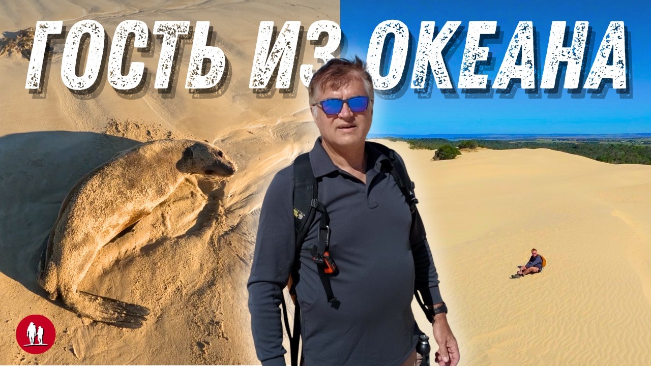 Без палатки вдоль океана - Дюны, каша и одинокий тюлень. Микро-кемпер в деле.