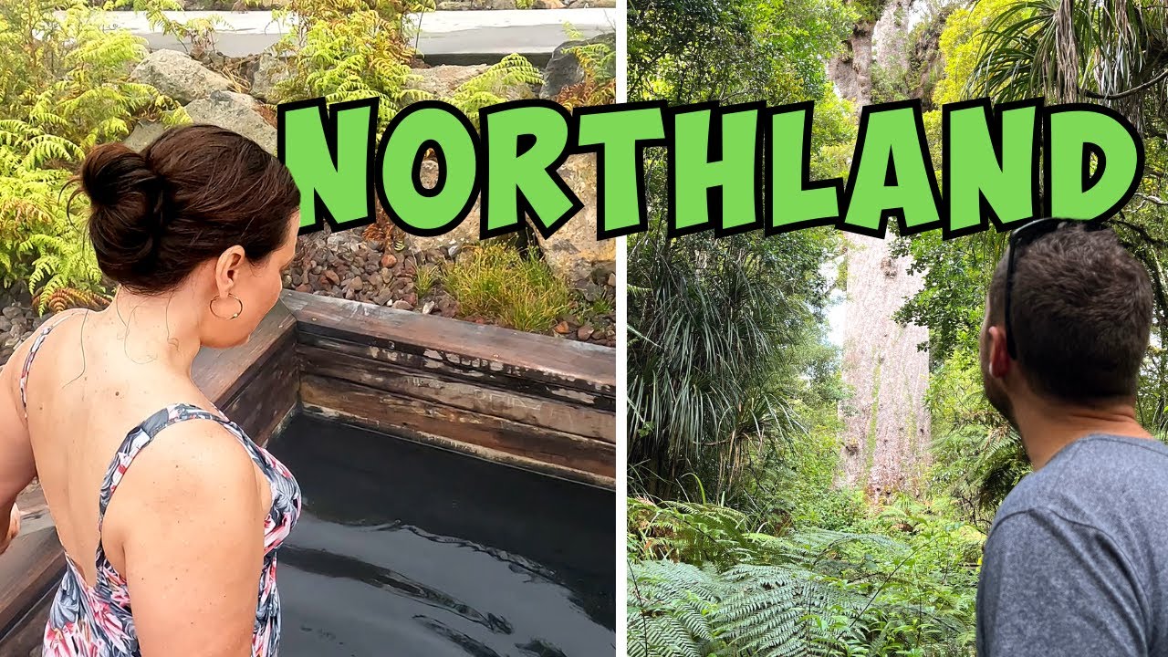 Waipoua Forest l Ngawha Springs l Kauri Trees l Northland l South Africans in New Zealand