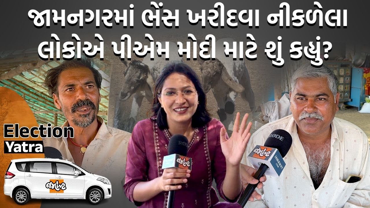 Saurashtraમાં ખેડૂતોની શું સ્થિતિ?| ભેંસ લેવા નીકળેલા ખેડૂતોએ યોજનાની પોલ ખોલી | Jamawat