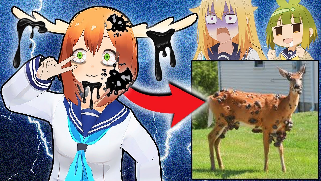 Nokotan gets FIBROMAS