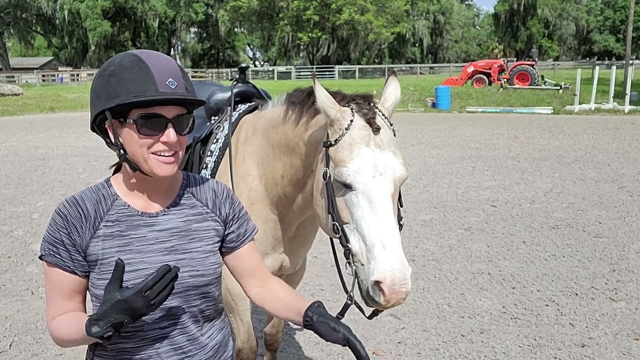 Equestrian Pivo Review - Improve Your Horse Training with 360-Degree Video Analysis