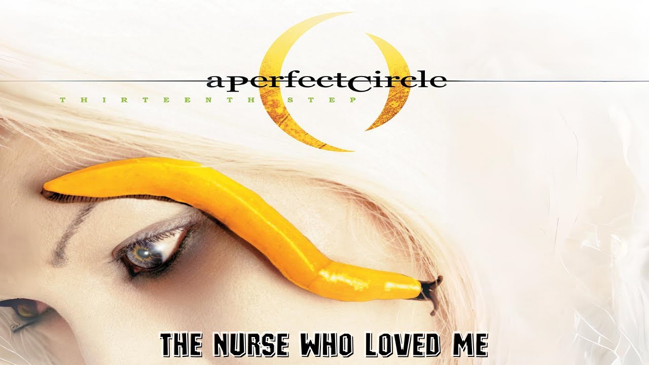 A Perfect Circle - The Nurse Who Loved Me - Instrumental (Thirteenth Step)