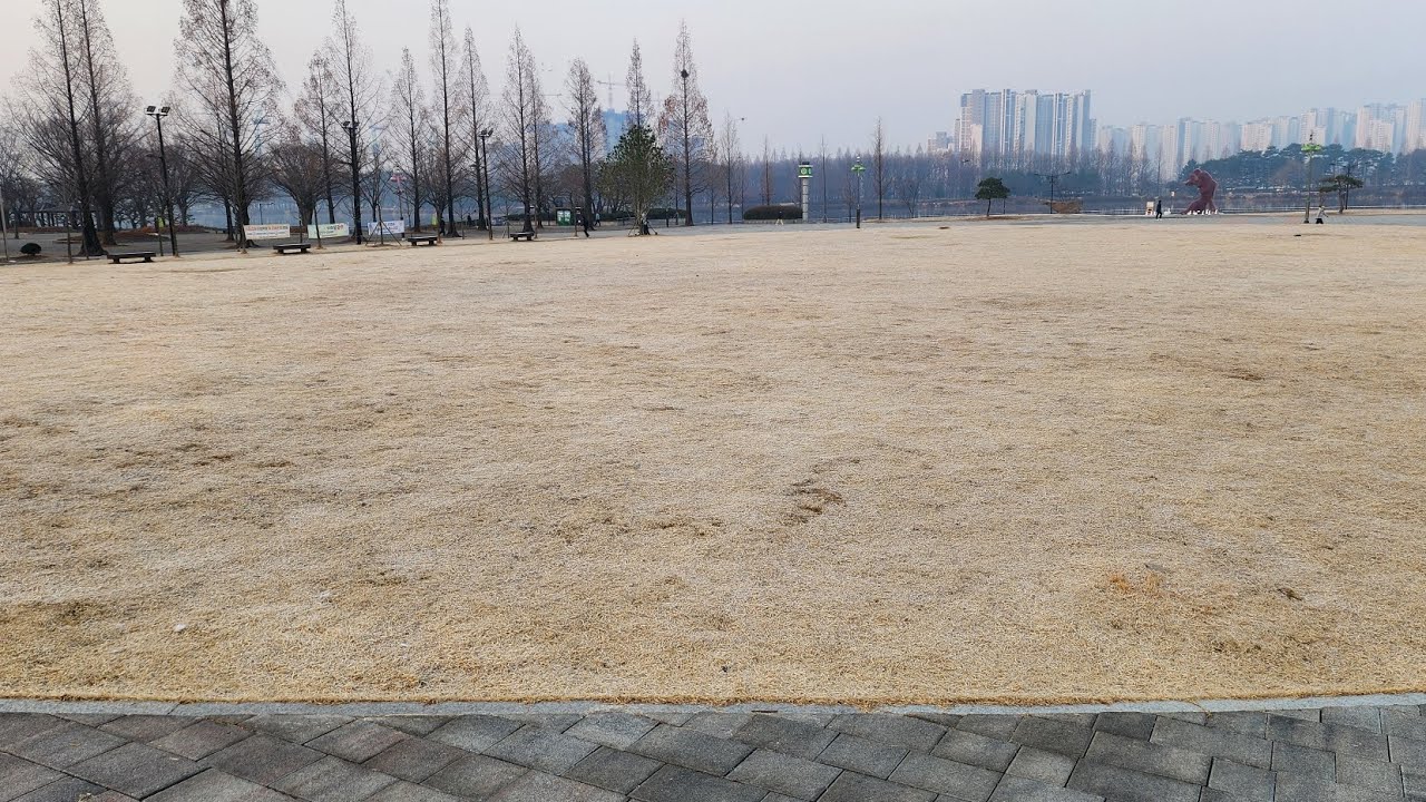 #5053 아침(1075)산책, 도쿄(5)런 △ 26/03 * 화요일, #03/17