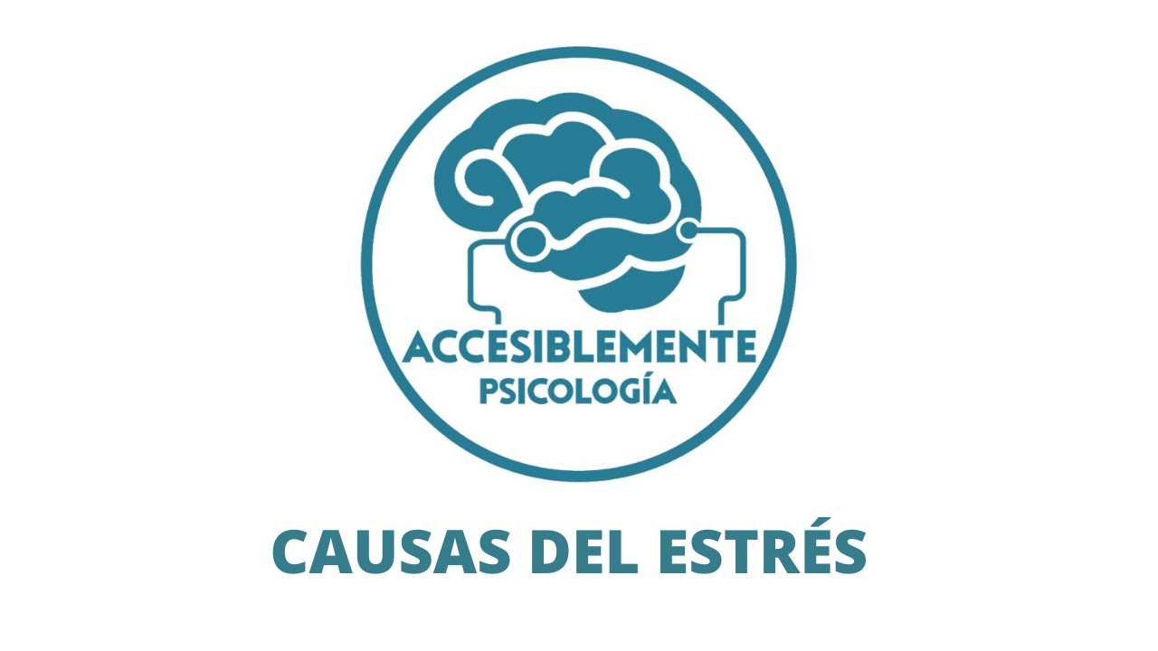 CAUSAS DEL ESTRÉS
