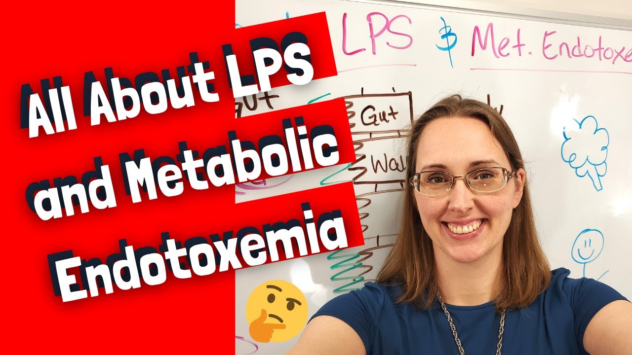 All About LPS and Endotoxemia