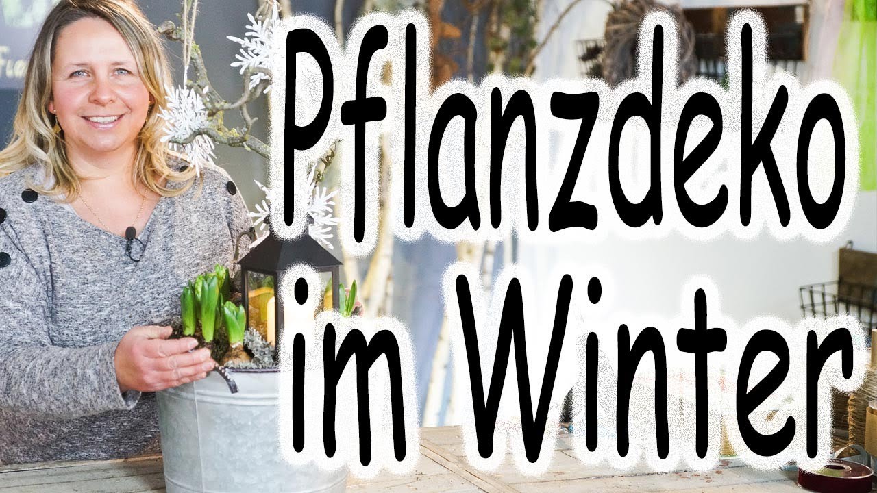 DIY Hyazinthe im Topf mit LED-Laterne | Winterliche Frühblüher-Deko | Deko vor der Haustür Anleitung