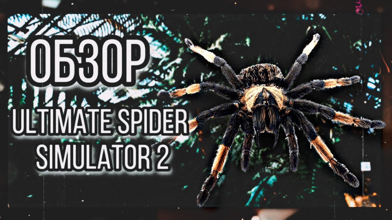 |LEO - MOON| 🕷&laquo; ОБЗОР - Ultimate Spider Simulator 2 &raquo;🕷