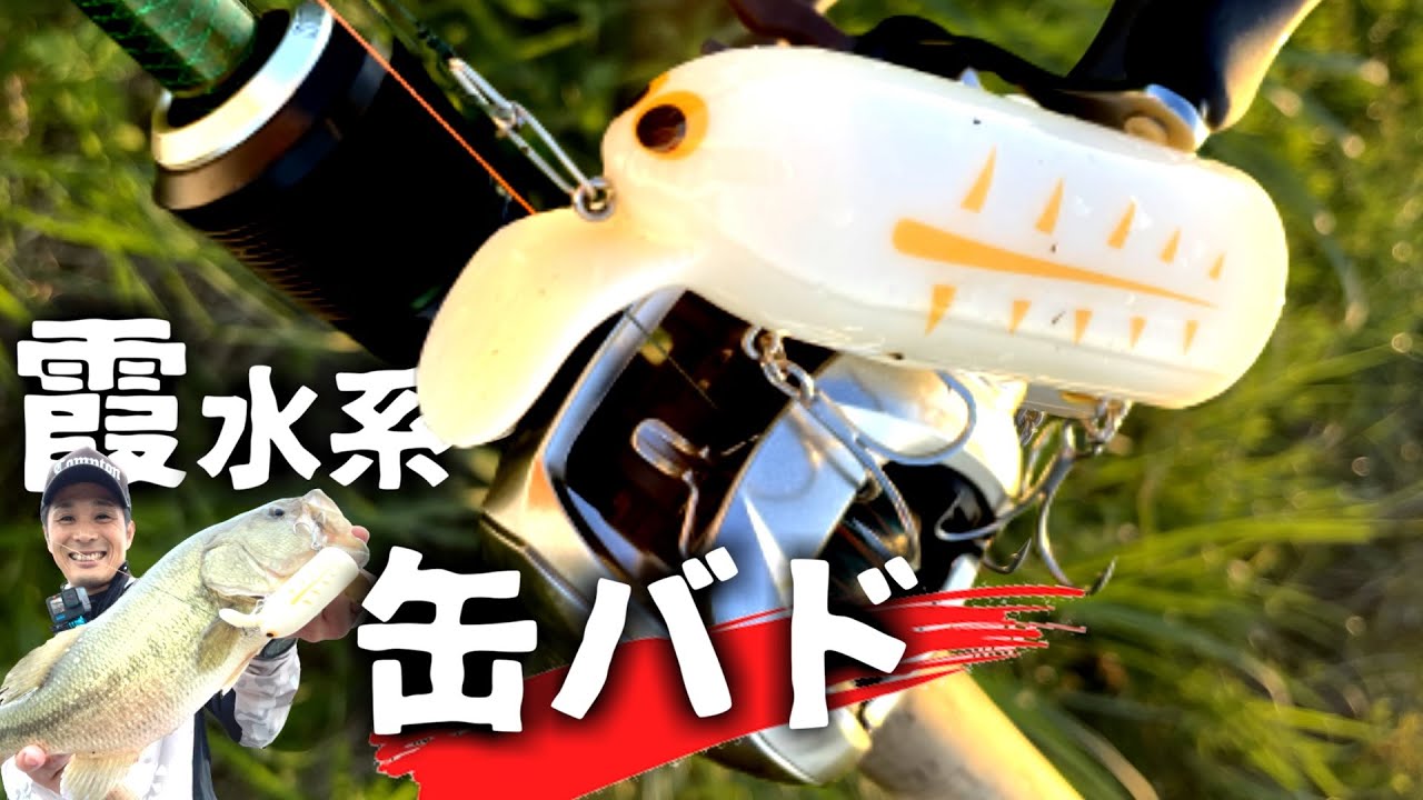 【霞水系/北利根川】缶バドはなぜ釣れる【バドの季節】2022.9