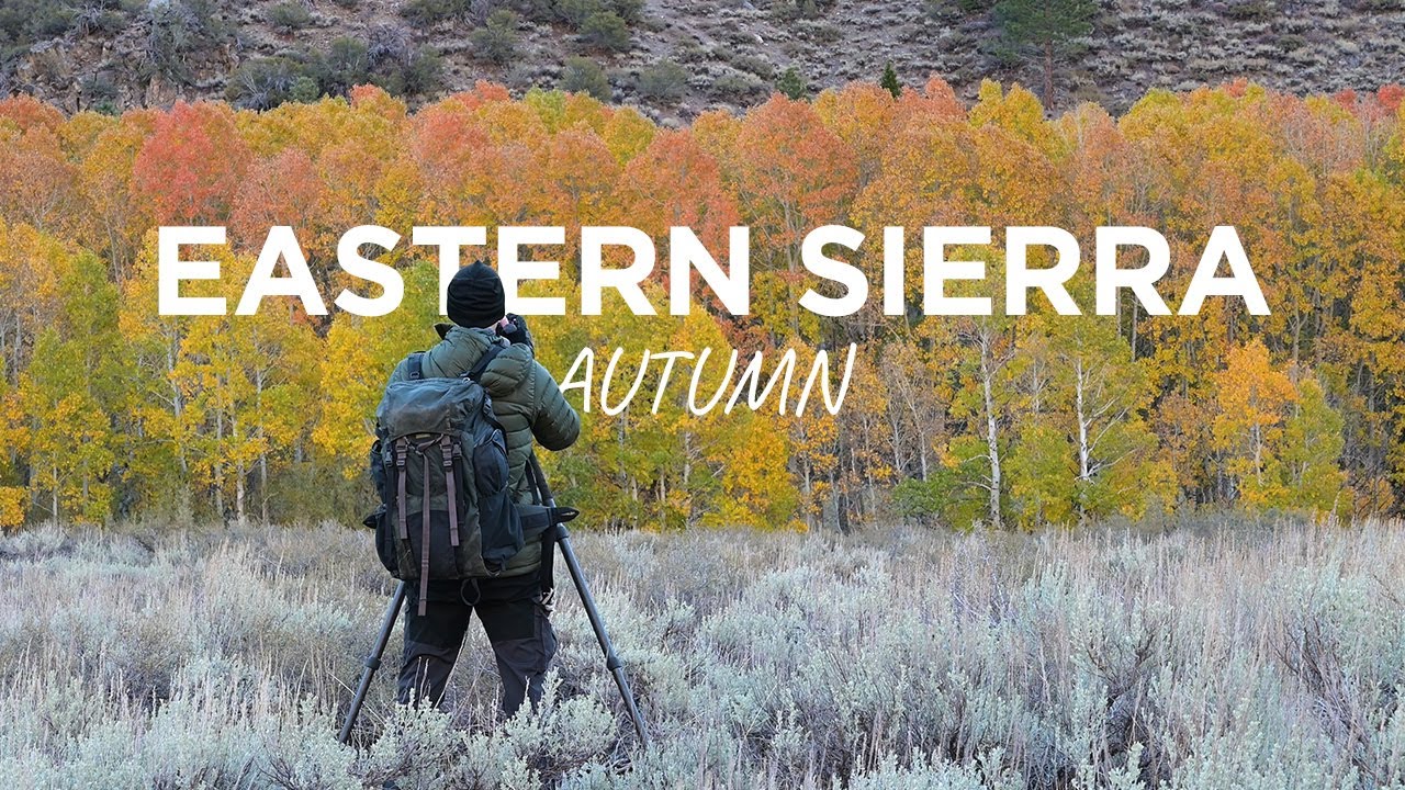 Fall Landscape Photography in the Eastern Sierra
