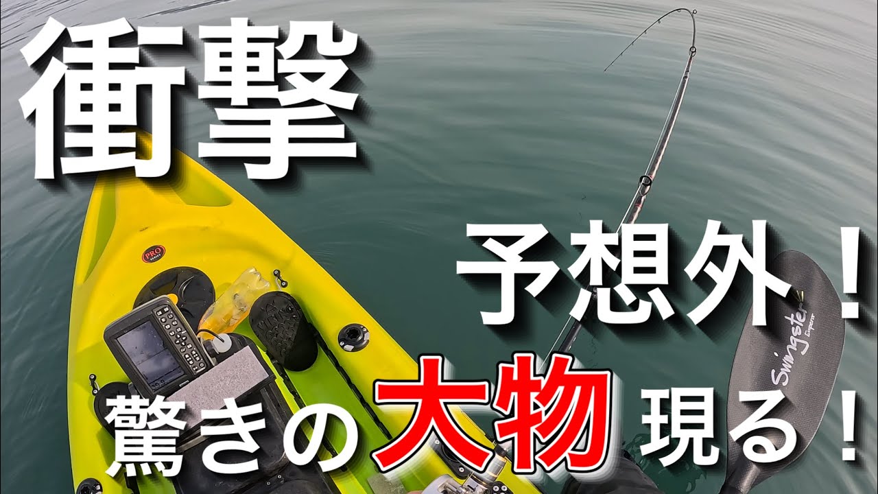 これはアカン❗️乗っ込み真鯛調査でやばいの釣れた。【カヤックフィッシング】