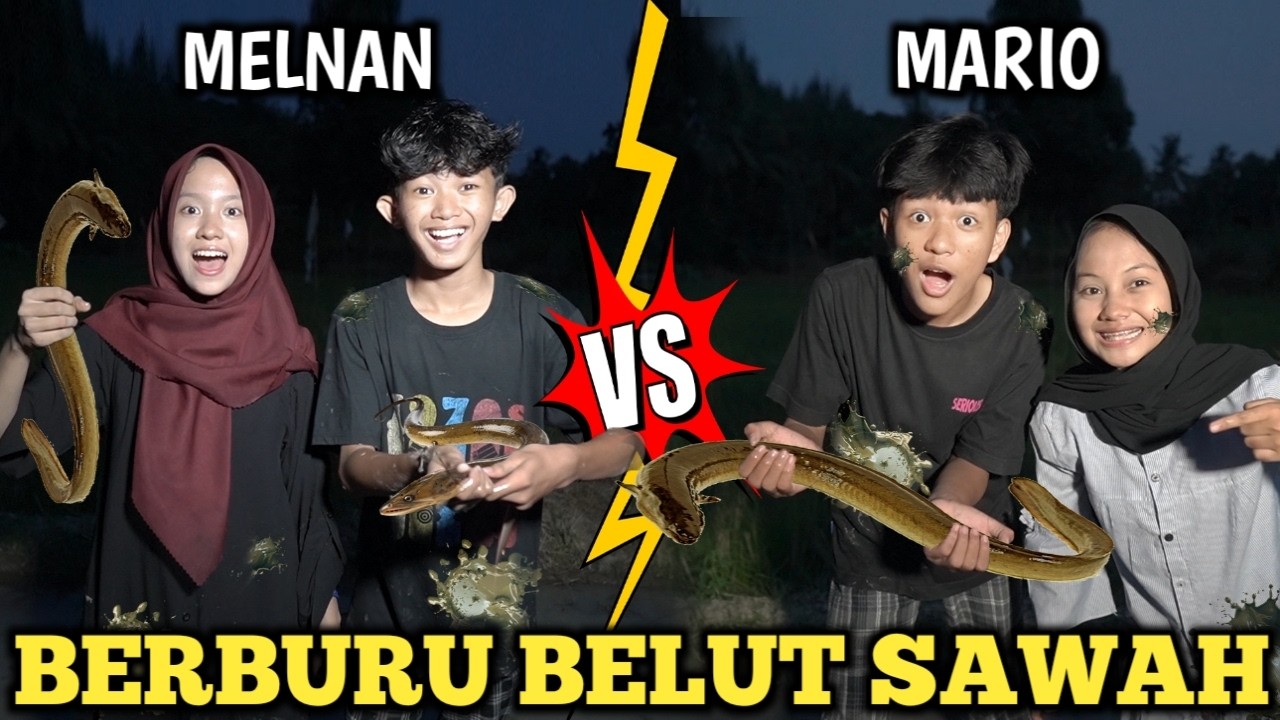 TANTANGAN BERBURU BELUT DI SAWAH SAMPE MALEM