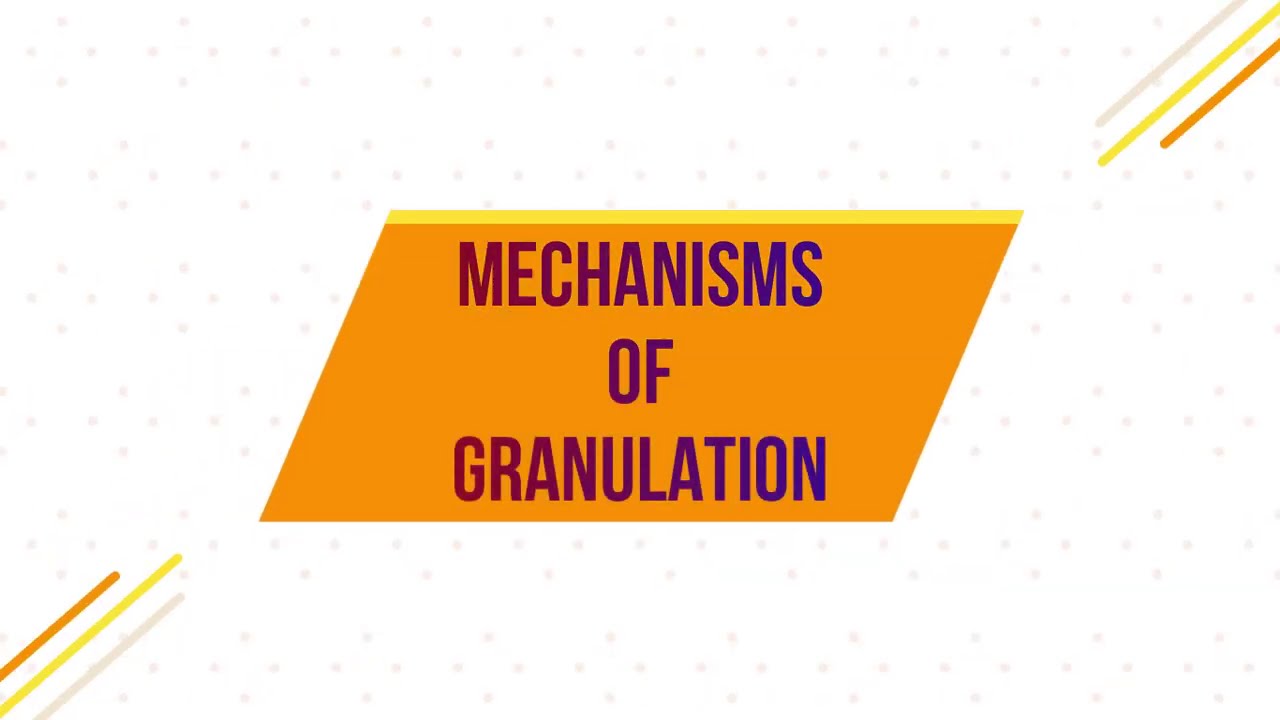 Granulation Mechanisms