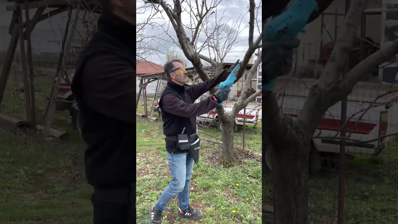 Κλαδευτικό Αλυσοπρίονο Μπαταρίας KAISER 10.8V (Λάμα 10 cm / Βάρος 0.88 kg) - daster.gr !