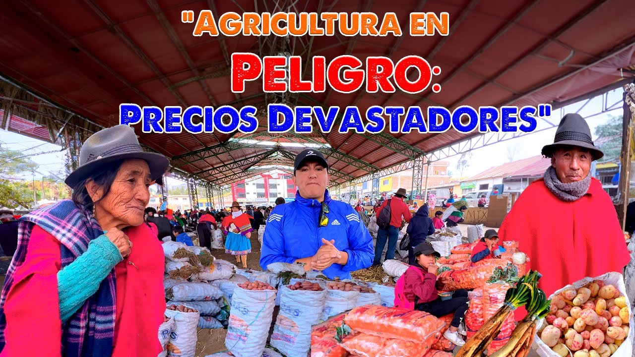 GRAN FERIA MAYORISTA DE GUAMOTE 🇪🇨, IMPRESIONANTES PRECIOS  I  GEO LEMAI