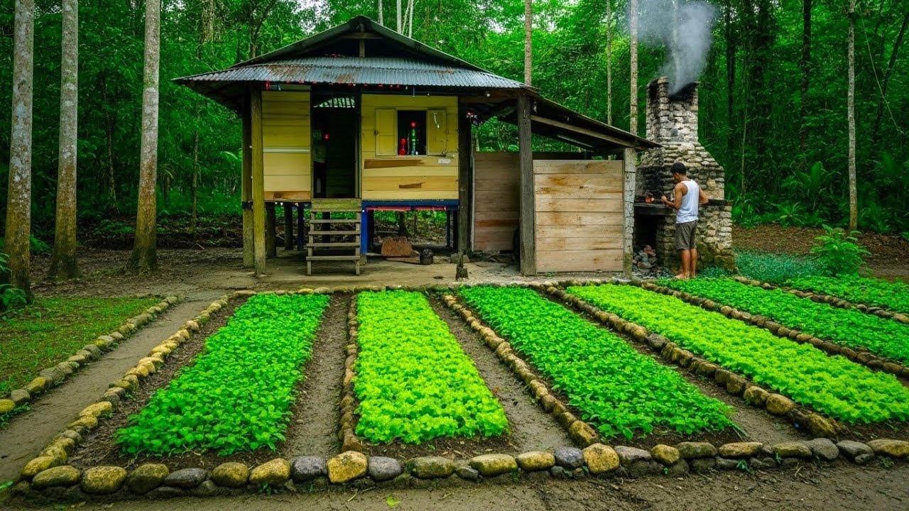 CEO leaves the city for the forest, building a kitchen, a wood-fired stove, and living in nature