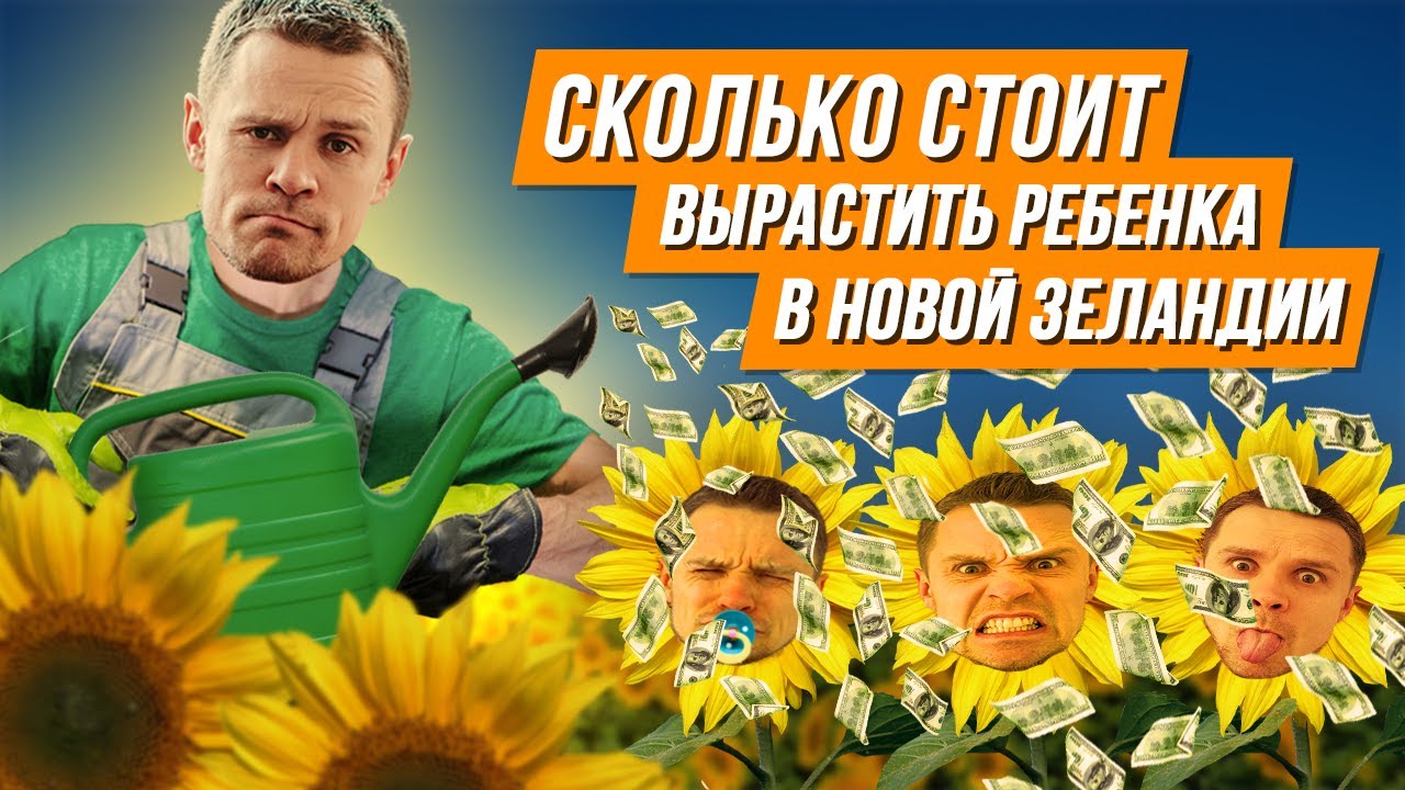 Сколько стоит учеба для детей в Новой Зеландии