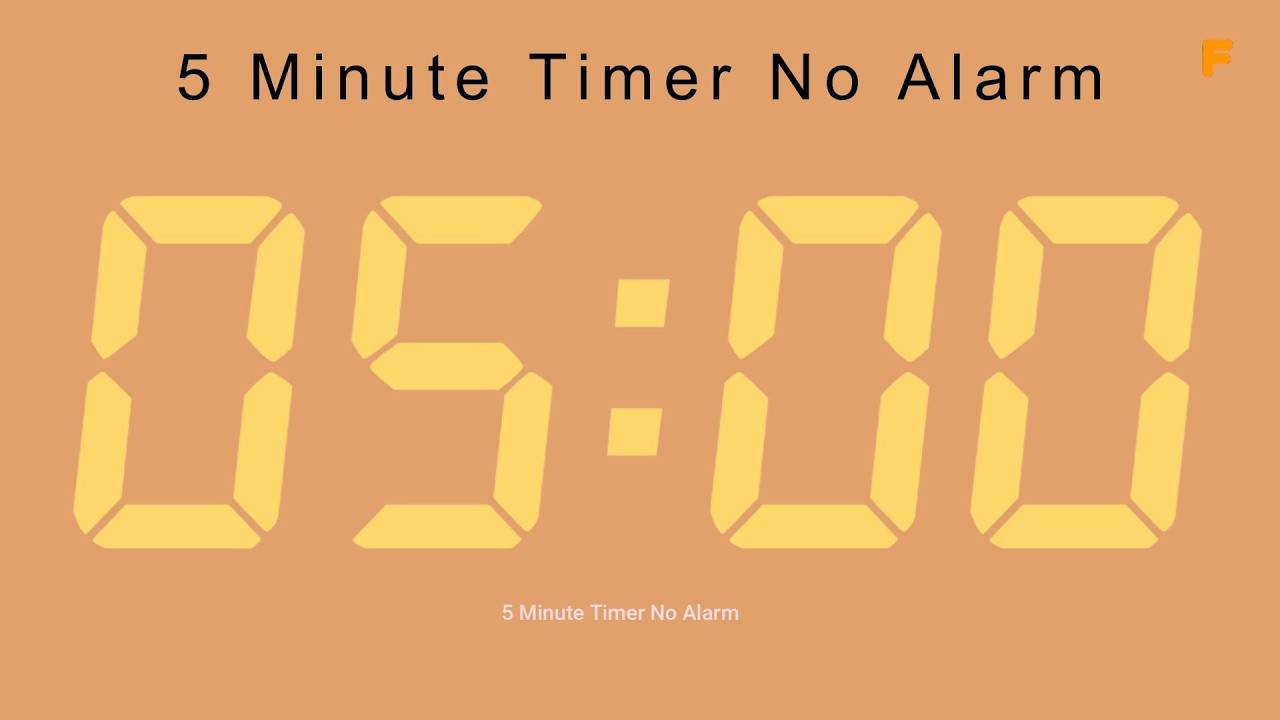 5 Minute Timer No Alarm