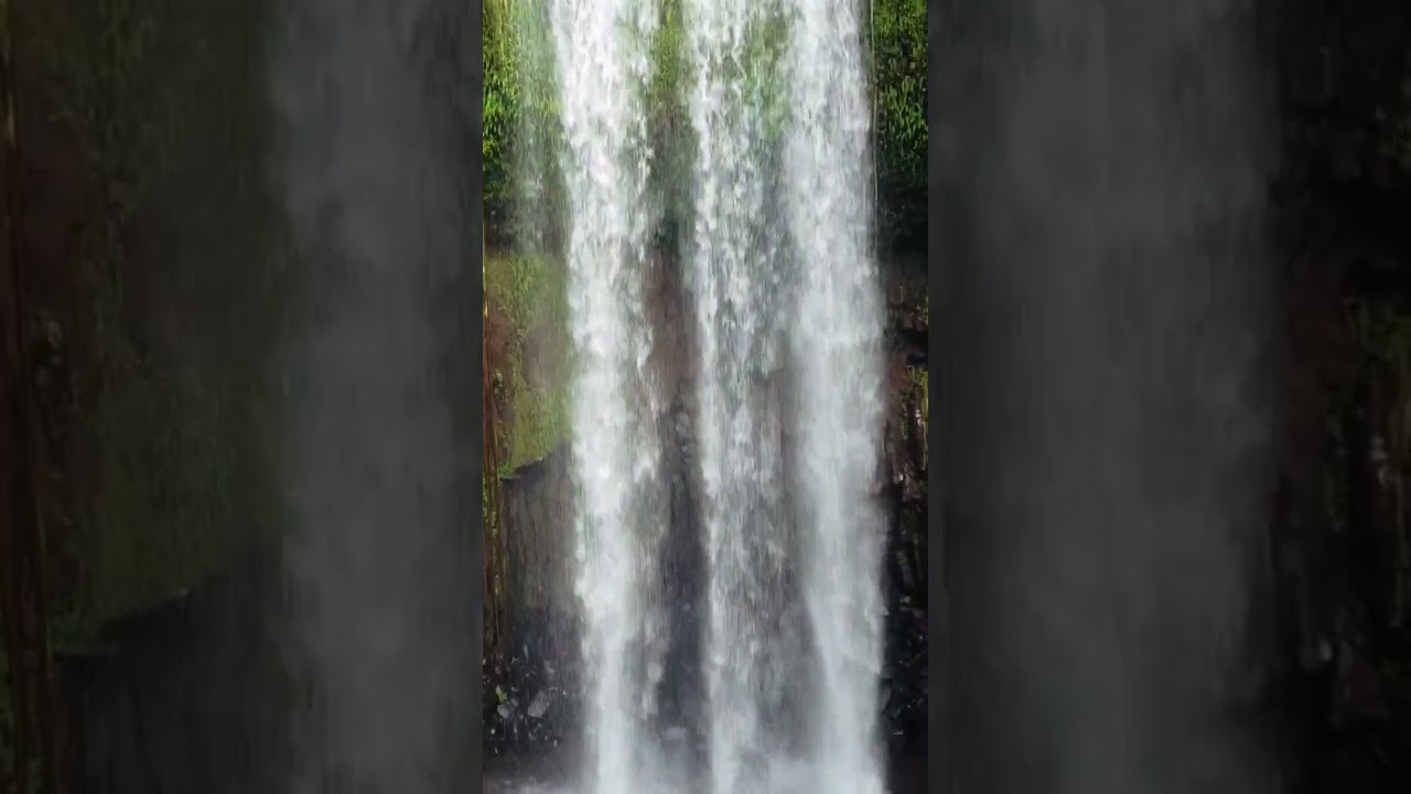 📍Millaa Millaa Falls, Atherton Tablelands in Tropical North Queensland #drone #nature #australia