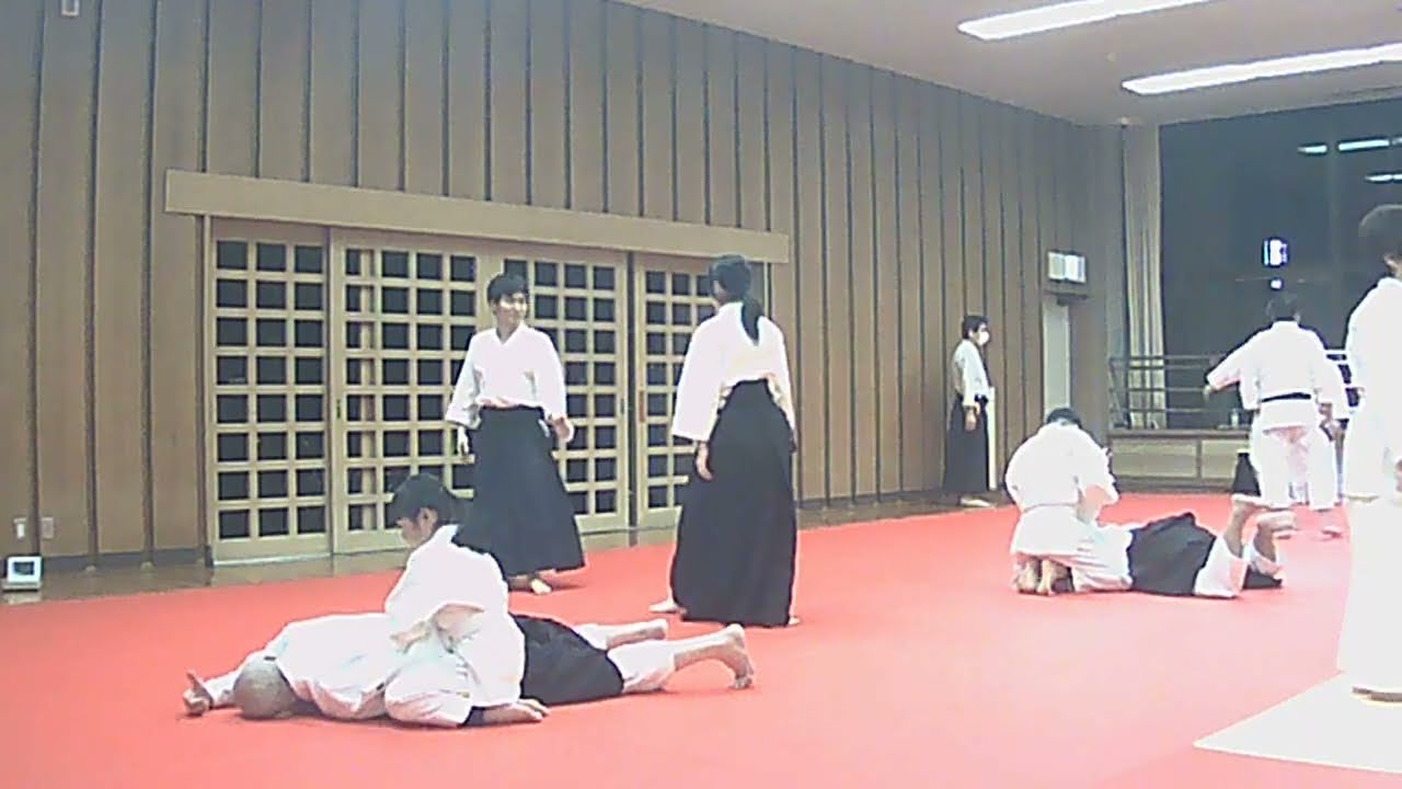 合氣道八和会　横面打ち　小手返し