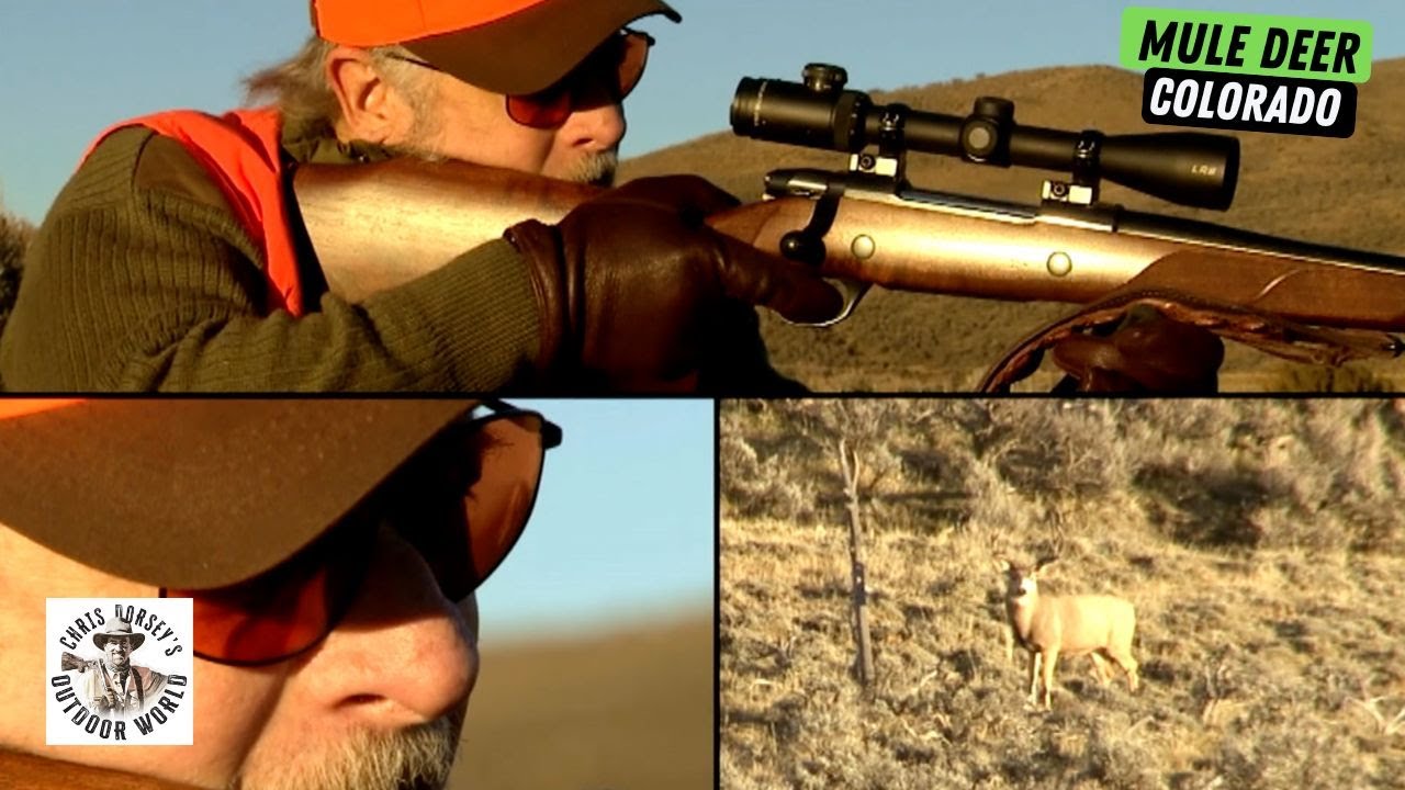 Actor Gerald McRaney Stalks Mule Deer in Colorado
