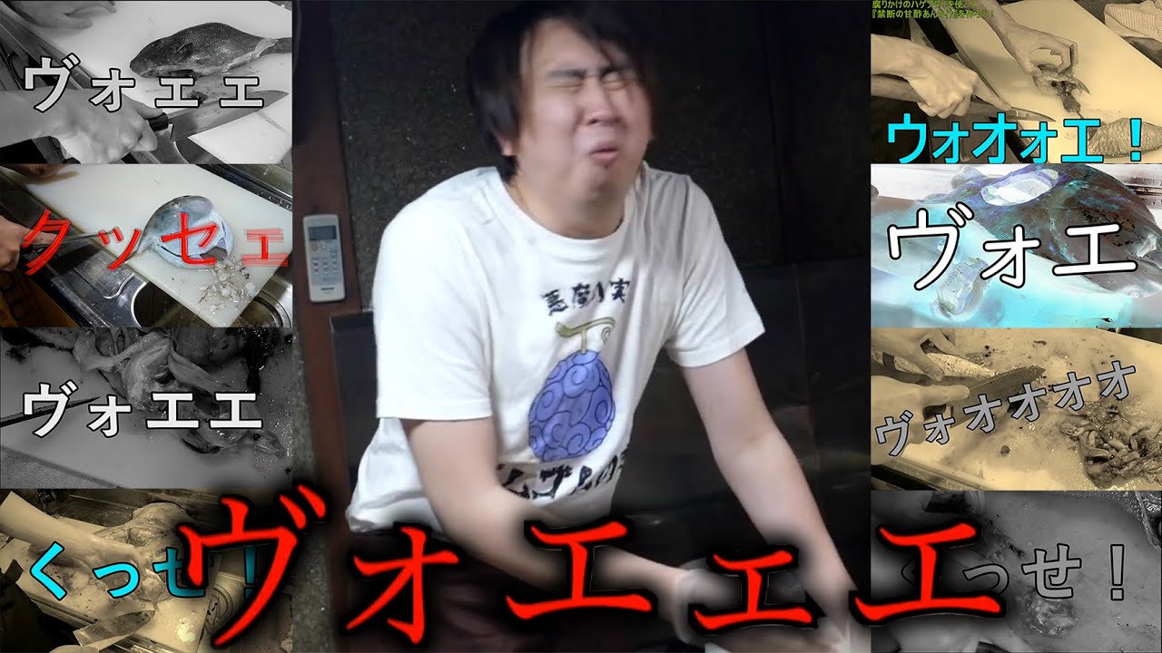 【閲覧注意】みんな大好きなこのシーン17連発！！！【切り抜き】