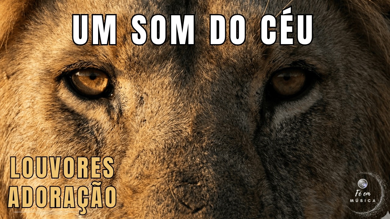 MÚSICAS GOSPEL PARA SENTIR A PRESENÇA DE DEUS EM CADA MOMENTO