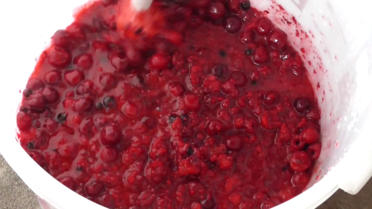 VLog Kirsch-Himbeerbrand herstellen #01: Die Maische