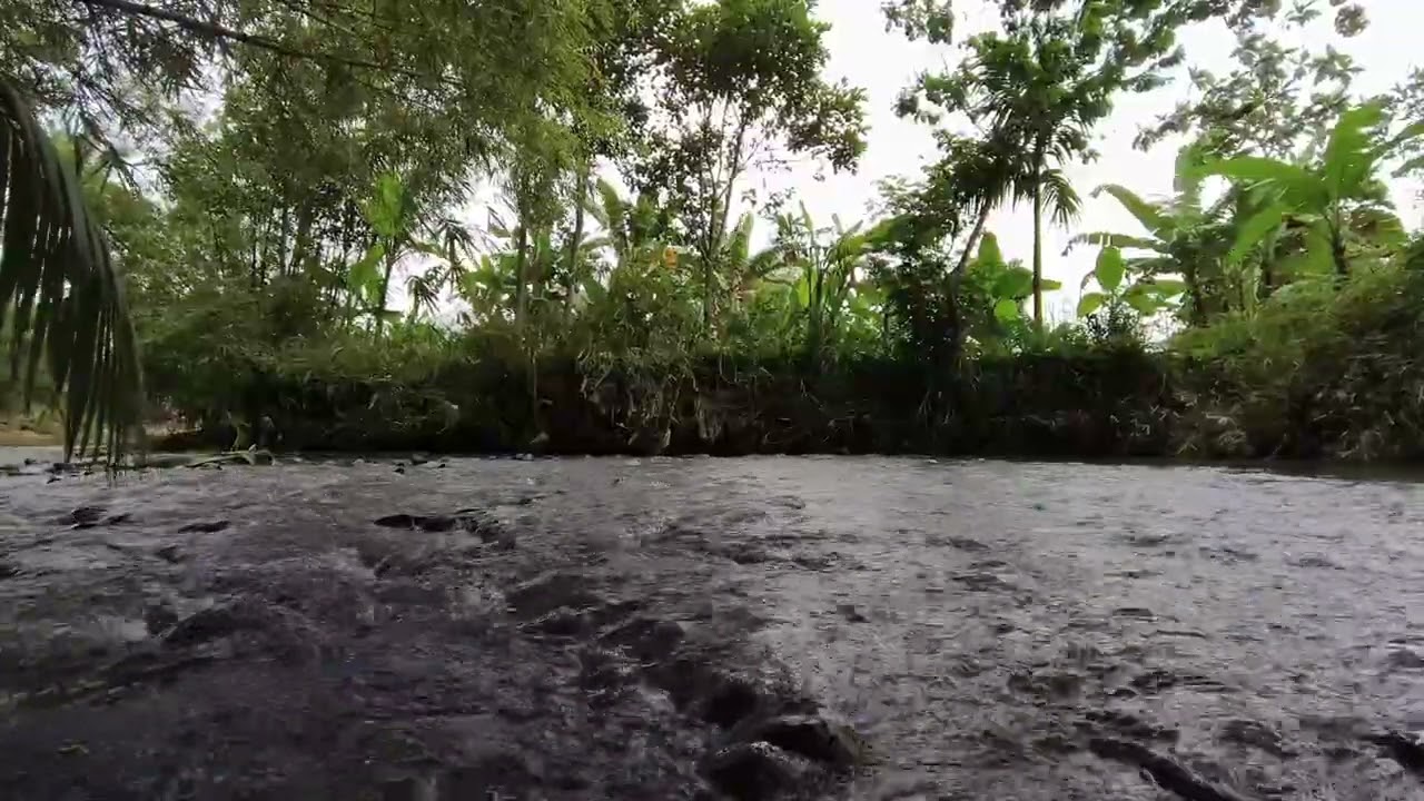 “Cool Natural River Sounds for Deep Sleep and Peaceful Dreams”