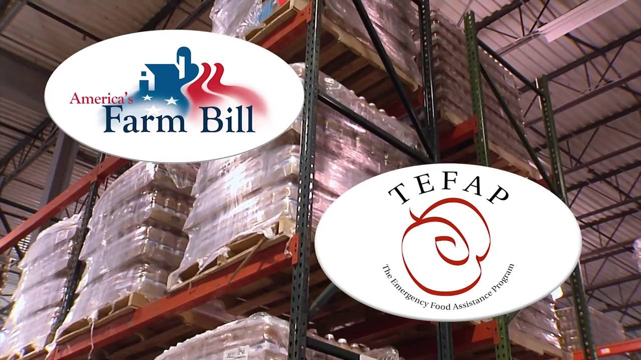 Virginia Peninsula Foodbank Youtube