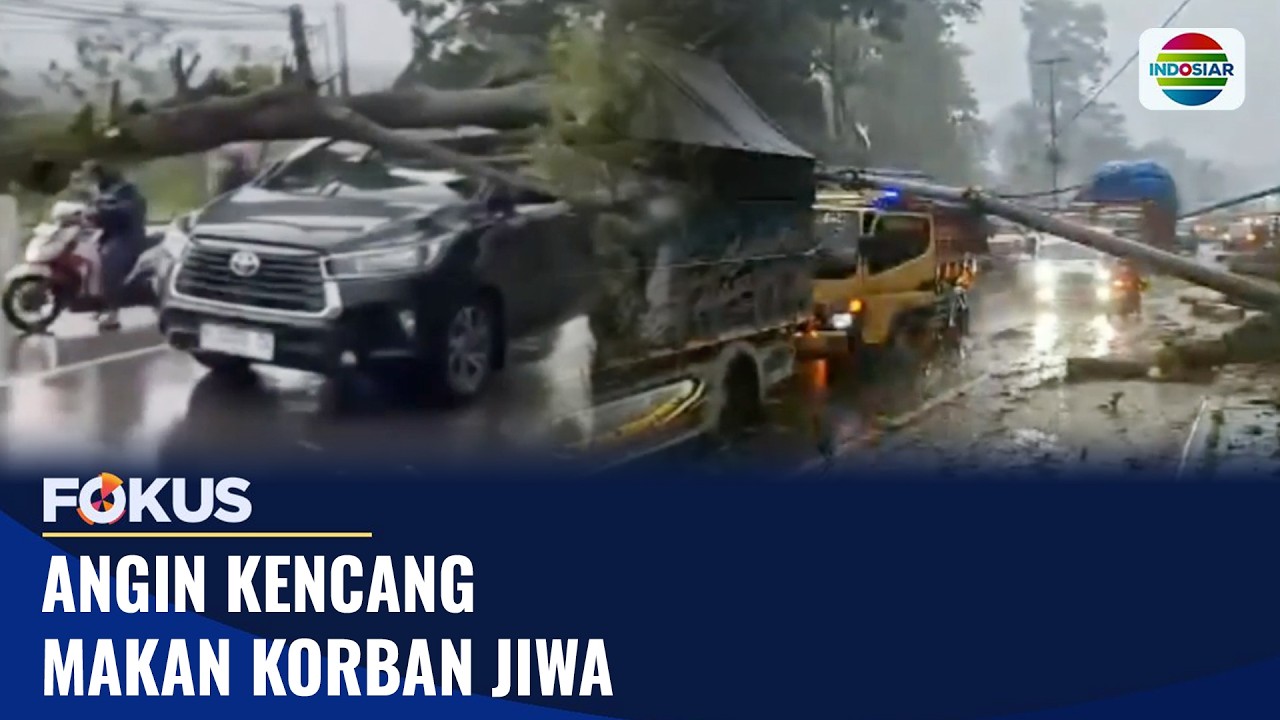 Angin Kencang Makan Korban Jiwa | Fokus