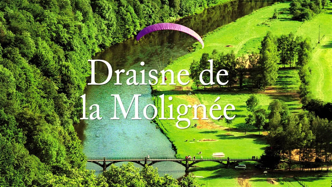 Draisne de la Molign&eacute;e : Bel-RTL Bienvenue Chez Vous