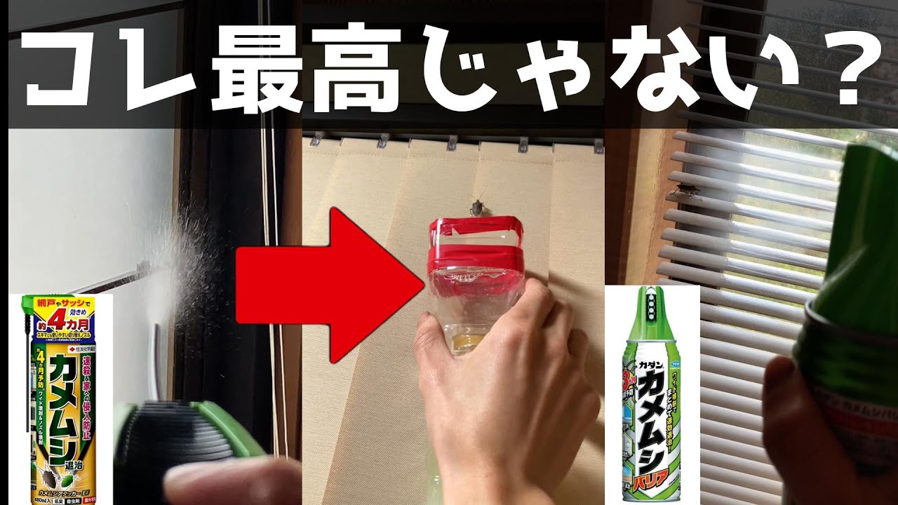 カメムシ対策してみた