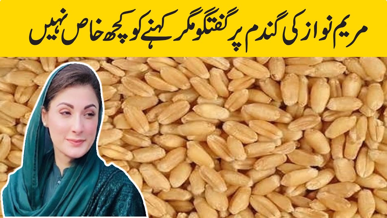 maryam nawaz big statement on wheat and agriculture