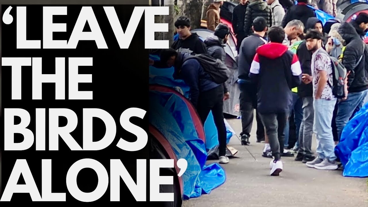 DUBLIN - IMMIGRANTS CONFRONTED HUNTING DUCKS; TRAPS REMOVED!