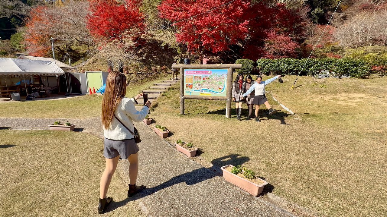 Saturday, November 22, 2025 at 11:29 Senmi Shikizakura no Sato, Senmicho, Toyota City, Aichi, Japan 