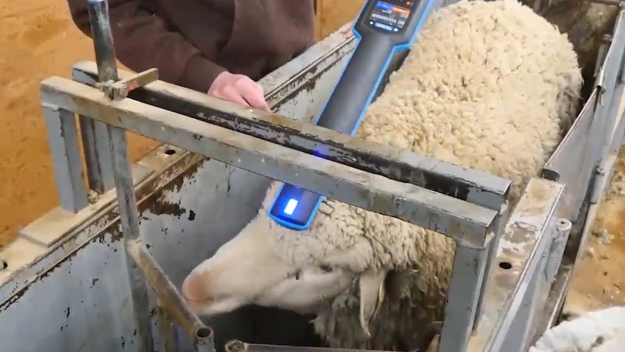 Western Ag Network Report for February 28, 2023