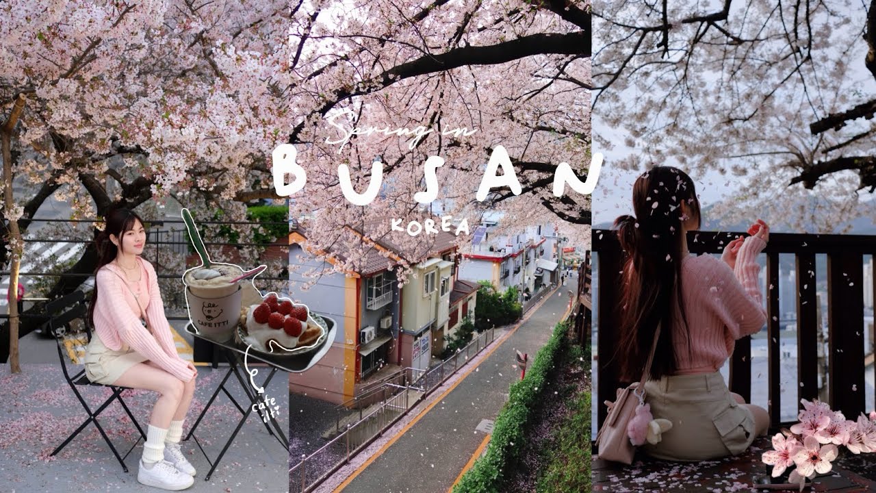 Spring in Busan, Korea vlog 🌸🇰🇷 Cherry Blossoms, Gwangalli beach, Oryukdo skywalk, Haeundae beach 🏖️