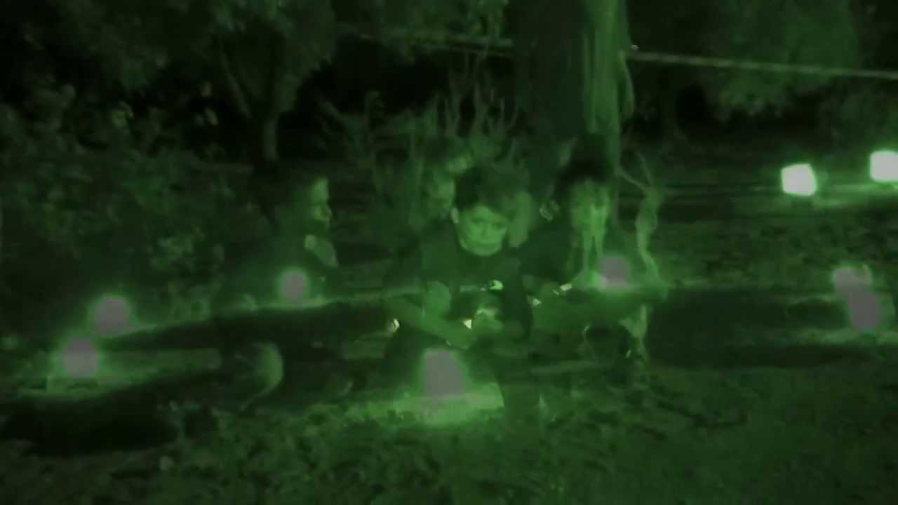 דגליים בידידיה יולי 2013