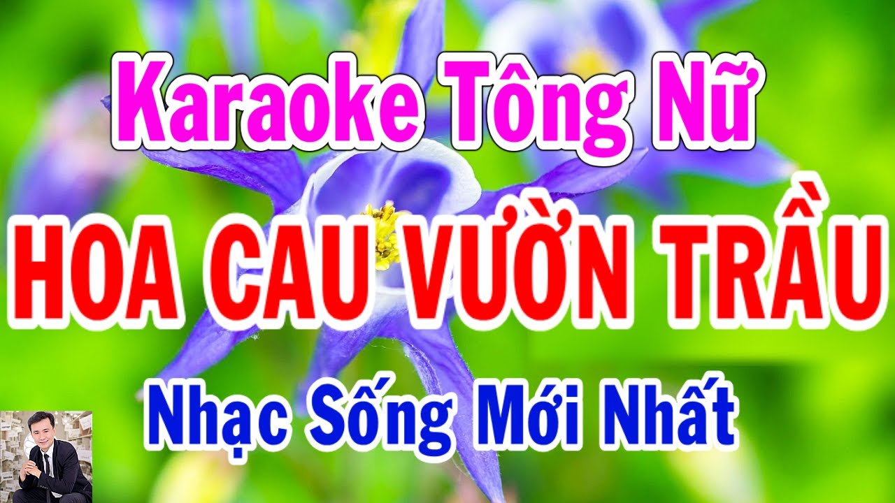 Karaoke Hoa Cau Vườn Trầu Tông Nữ Thành Lý Organ