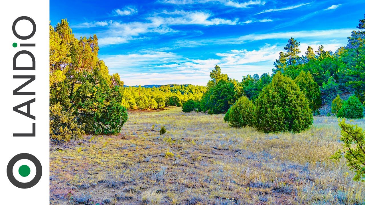 SOLD by LANDiO • Land in Colorado • 5.22 Acre Homestead with Electricity