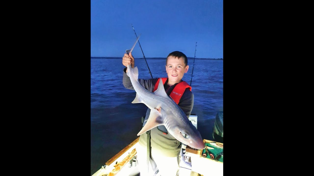 Kingston Seymour Shore Fishing and Sea Fishing on the Boat - MOD, Bristol Channel