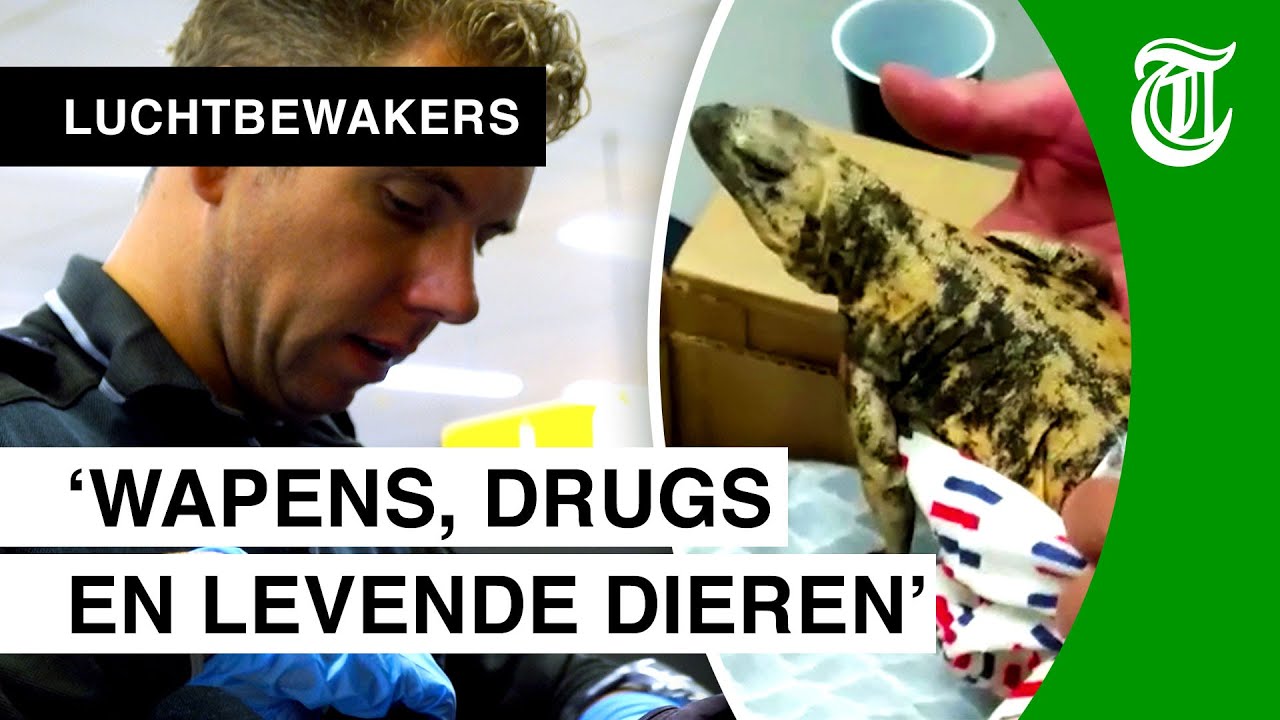 De meest bizarre vondsten op Schiphol - LUCHTBEWAKERS #07