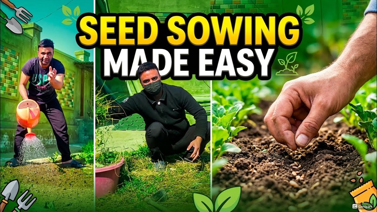 Seed Sowing Season In Kashmir | Aaj Fir Se Seeds Lagaye Bahut Thak Gaya 