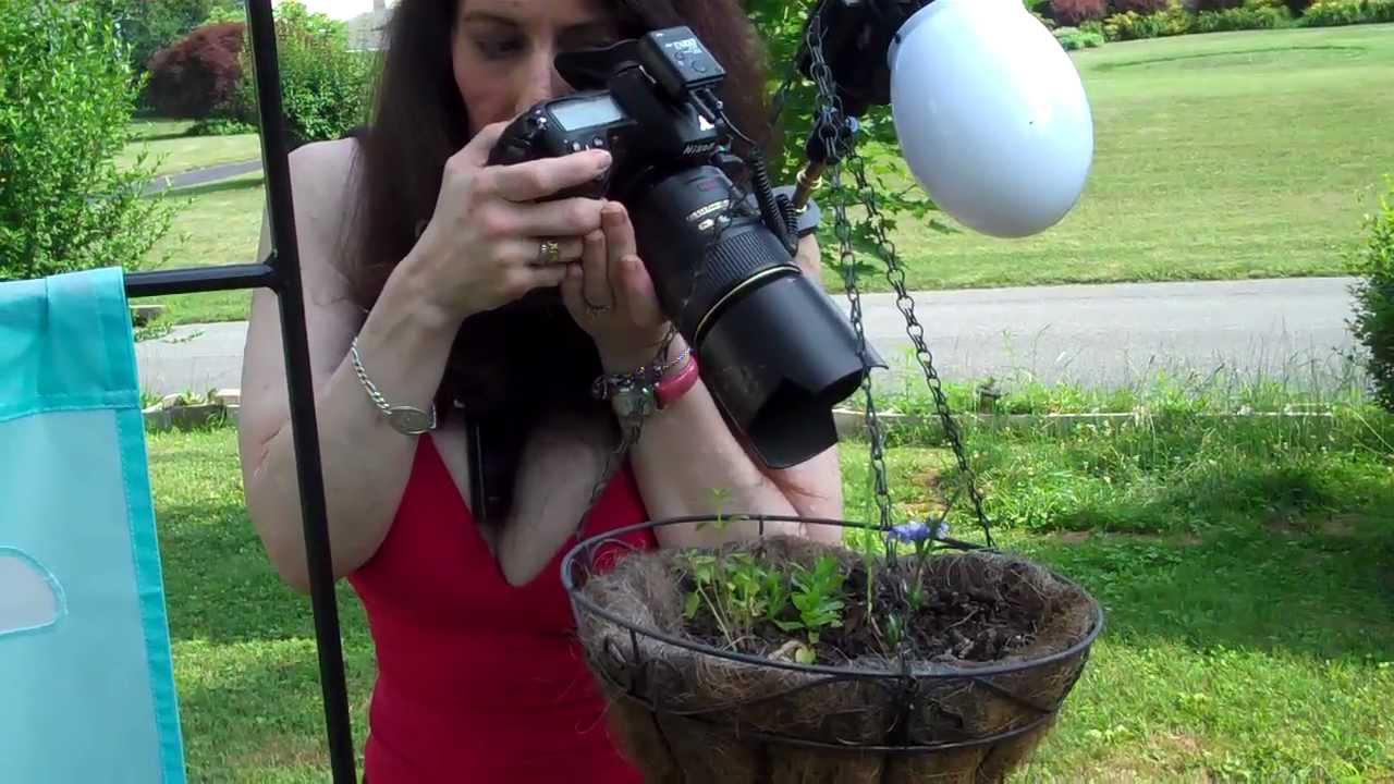 Photography - Shooting Macro - Flowers & Insects (2)