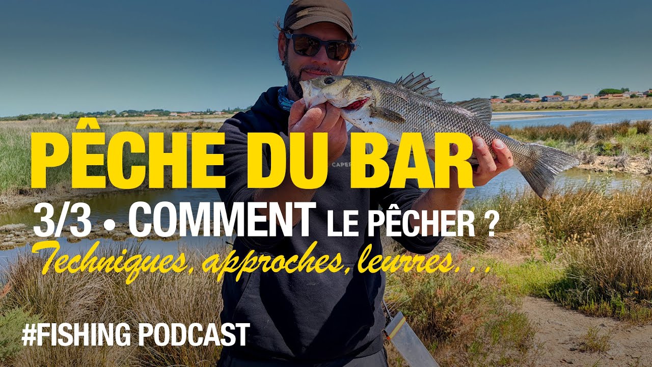 Pêche du bar facile en bord de mer - 3/3 - Comment le pêcher ?