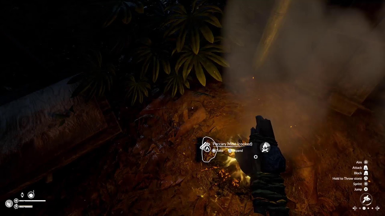 The Green Hell survival