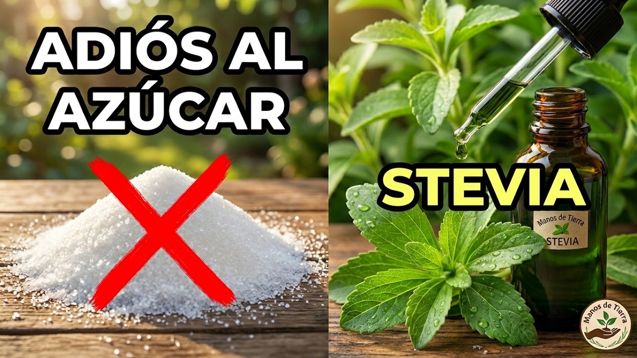 Adiós al Azúcar Refinada! Prepara Tu Stevia Líquida En Minutos 🌿