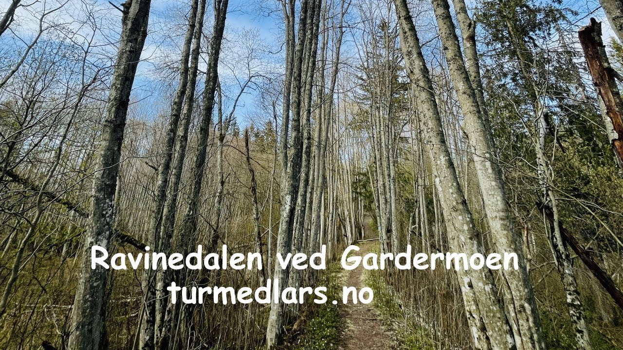 Ravinedalen ved Gardermoen - turmedlars.no