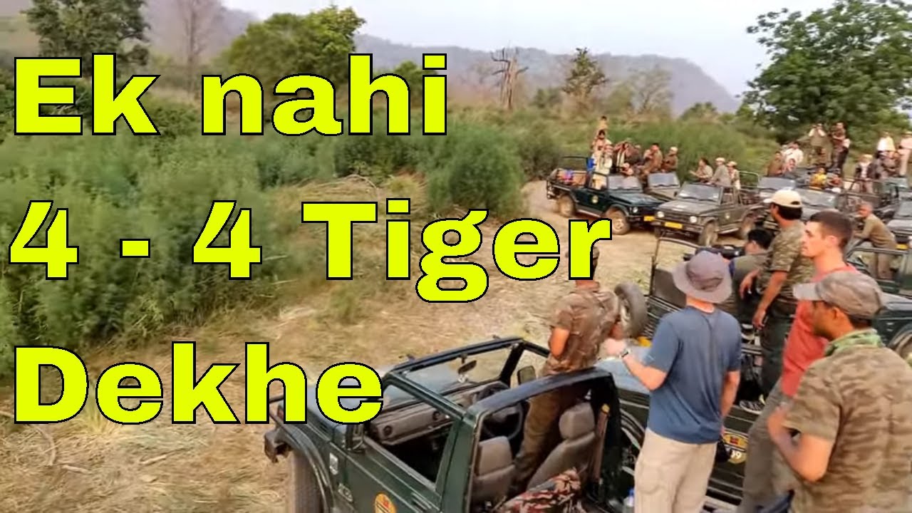 Part 1 Corbett national park dhikala forest rest house night stay