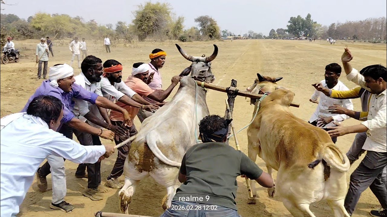 शोहेब पटेल नांदी हेड़ीया और लाल बादशाह फोगल टोला पट स्टार्टिंग पांइट से छुटते हुए 